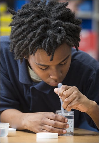 Riverside Middle School student T’san Griffin mixes ingredients for an experiment with flatworms.