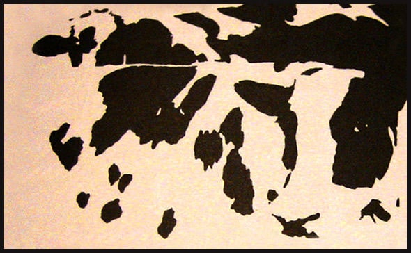 Optical-Illusion-Cows