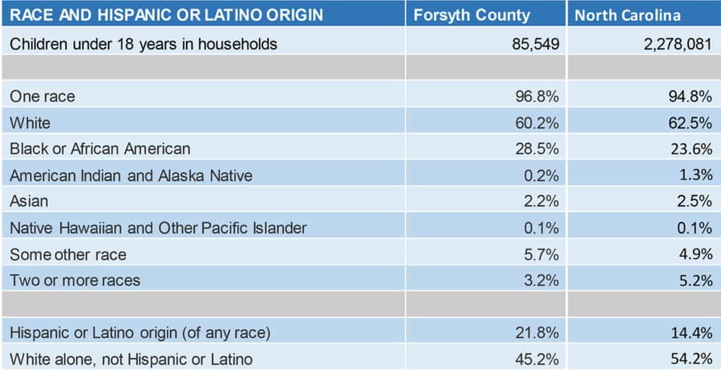 RACE AND HISPANIC OR LATINO ORIGIN