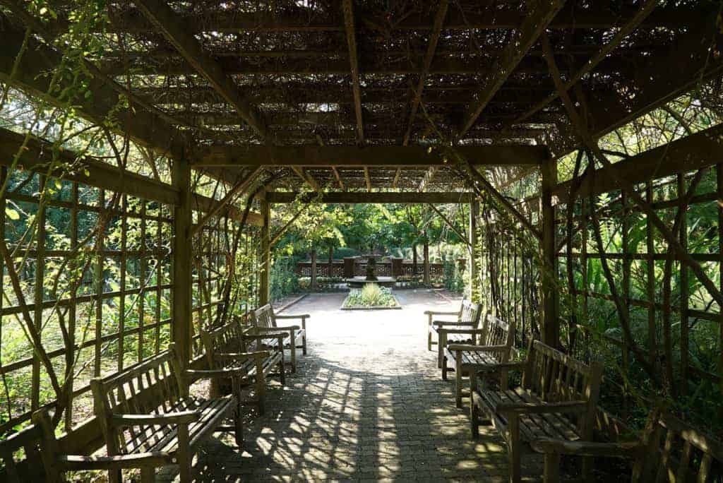 A wooden canopy over an on-campus garden
