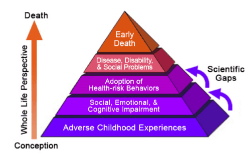 Supporting students with adverse childhood experiences - EdNC