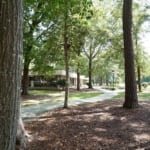 trees and campus buildings