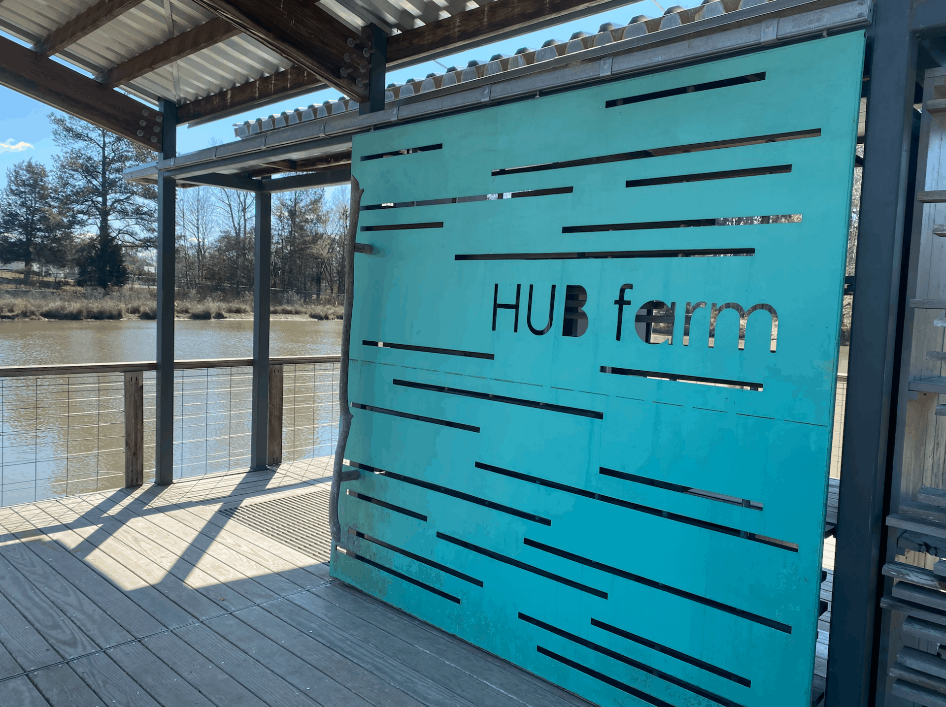 A little sunshine with the Hub Farm EducationNC