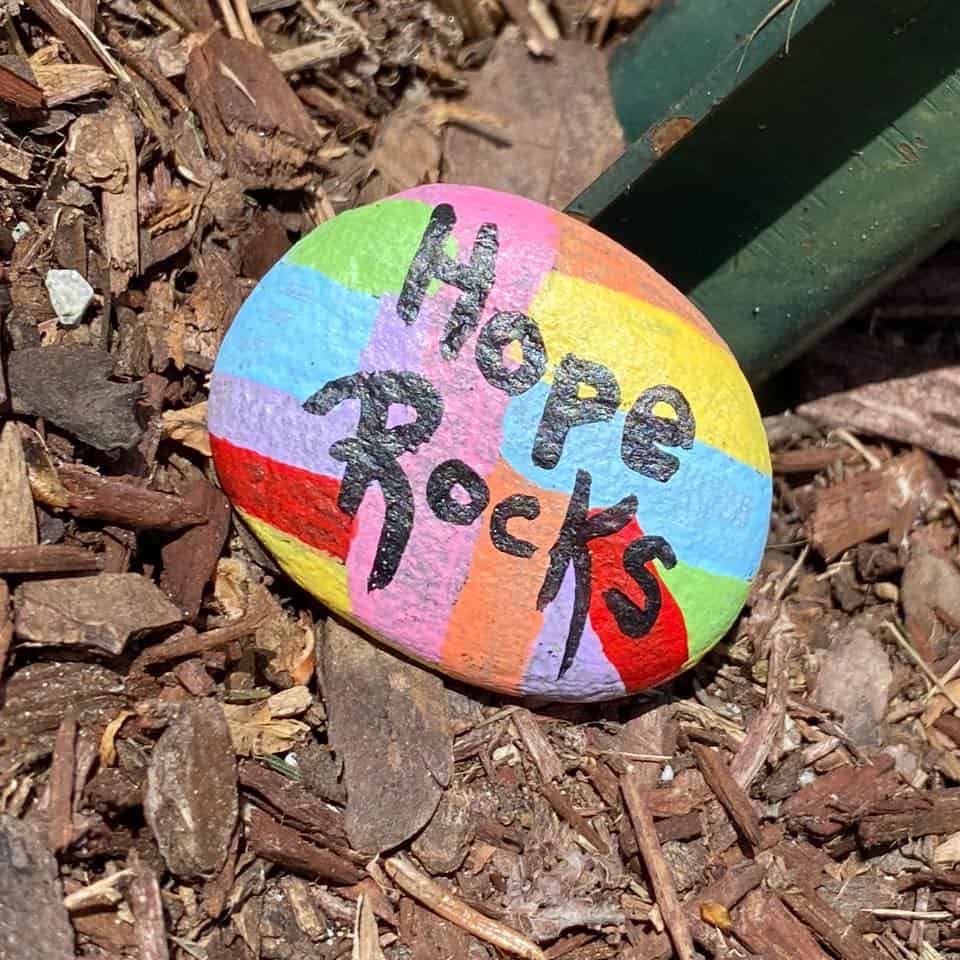 Hope Rocks How one student is spreading positivity in her rural community