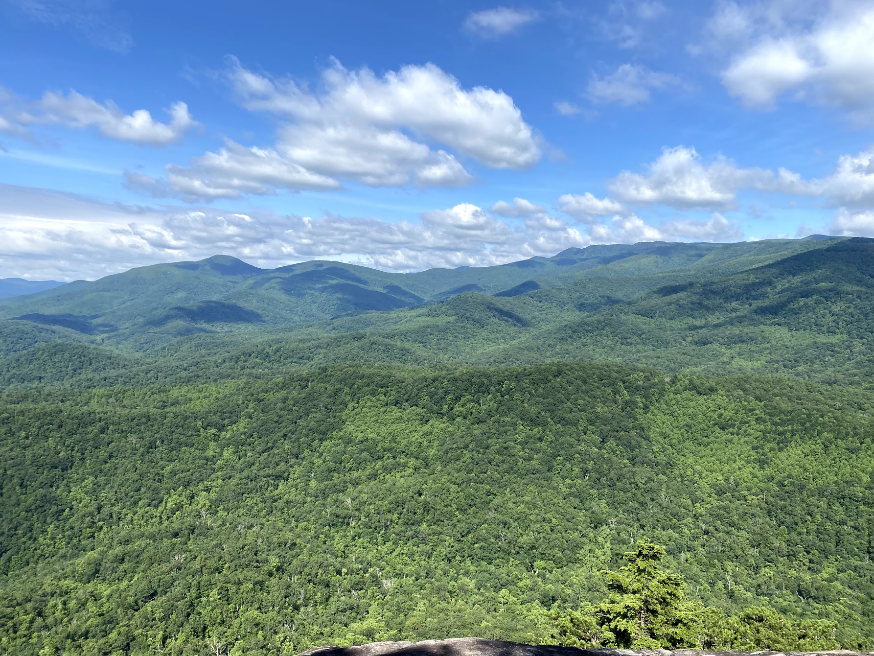 Land of Sky Educational Attainment & Workforce Collaborative