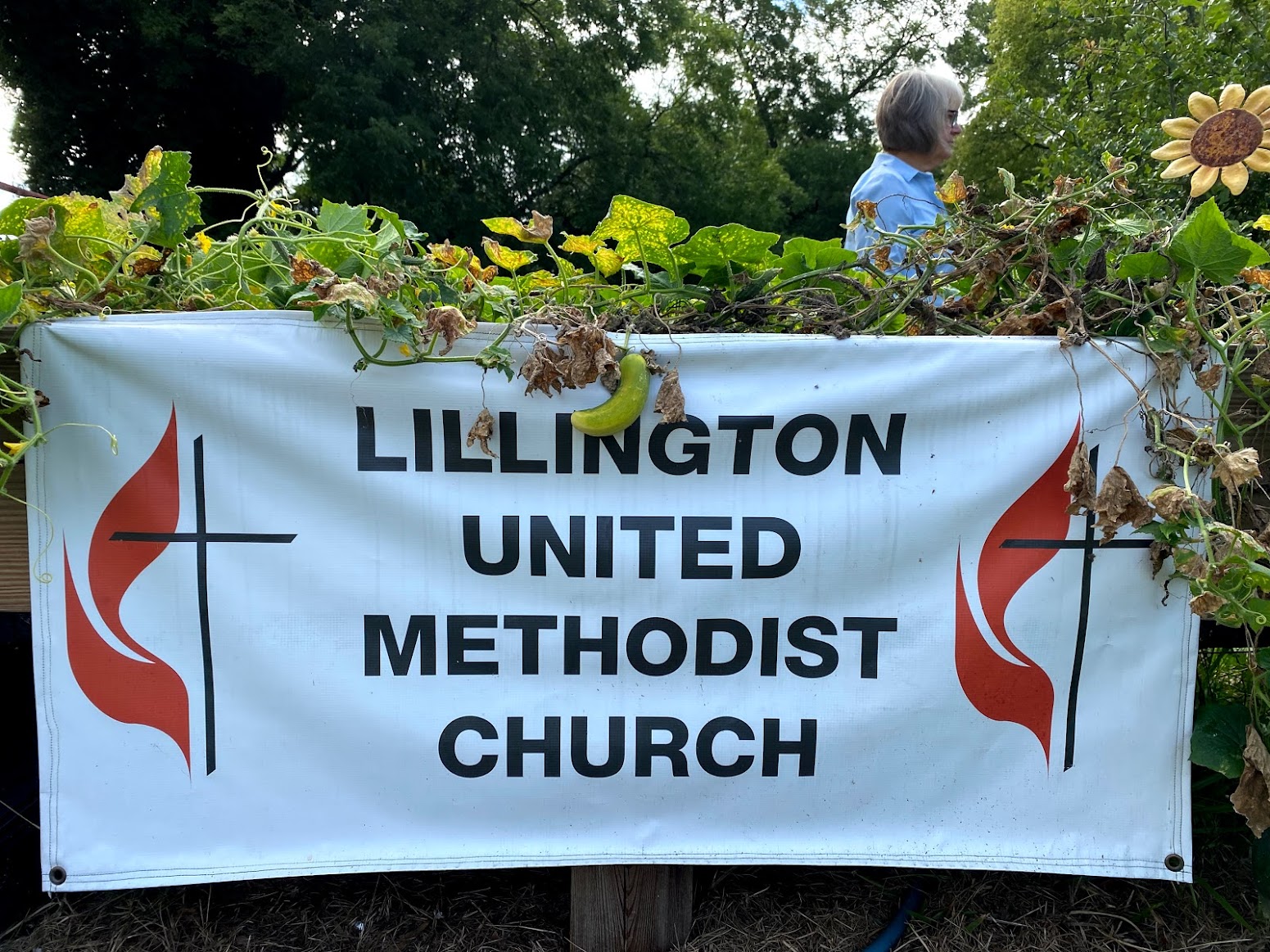 A Lillington school and church garden for their community EducationNC