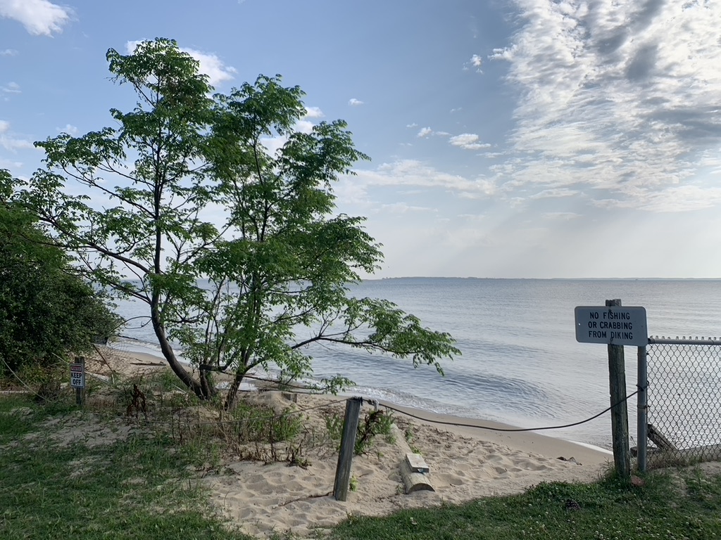 Gone Fishing – Currituck County