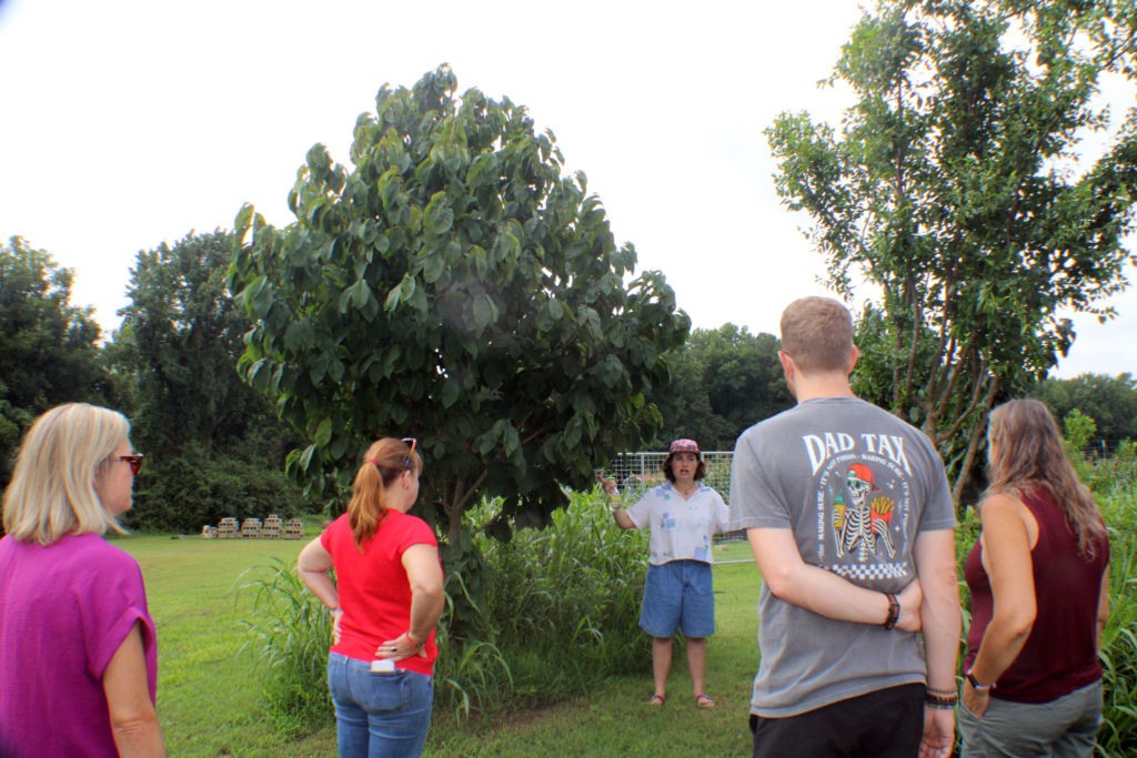 people facing a big tree